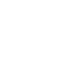 Homeowners Insurance Icon