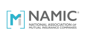 Namic logo