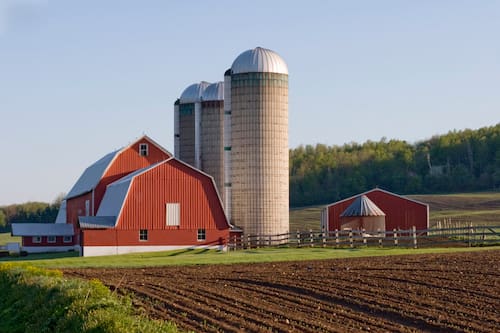 Red Barn In Field